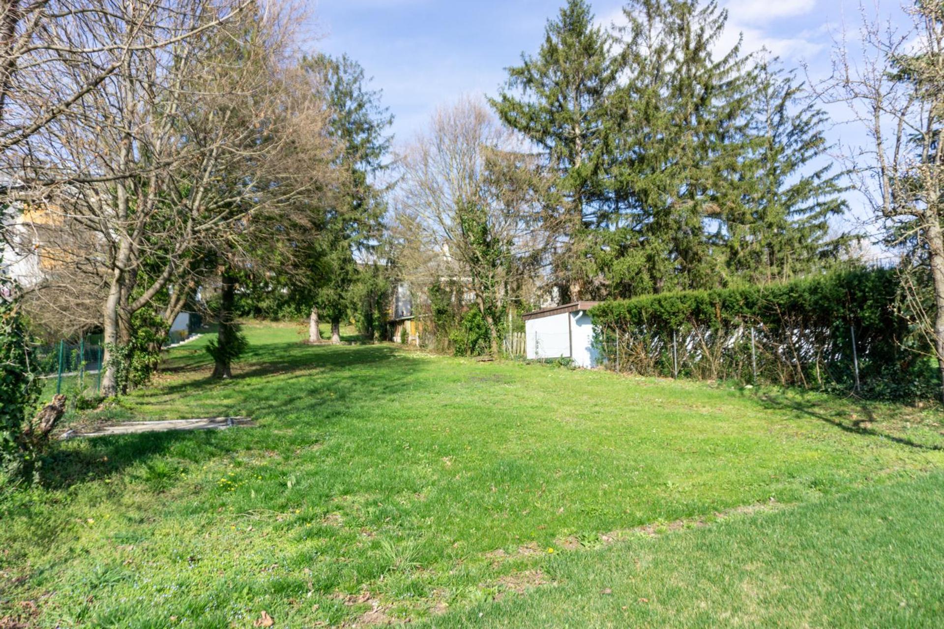 Next To Stadion, Near To Lainzer Tiergarten Apartment Виена Екстериор снимка
